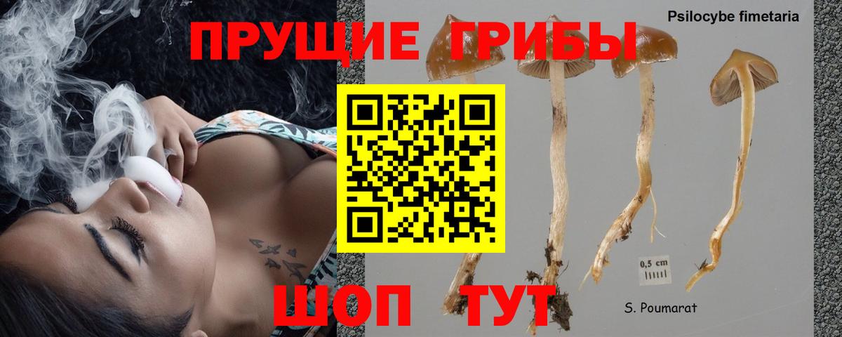 Галлюциногенные грибы прущие грибы  Галлюциногенные грибы Psilocybe  Вход с VPN  Десногорск 